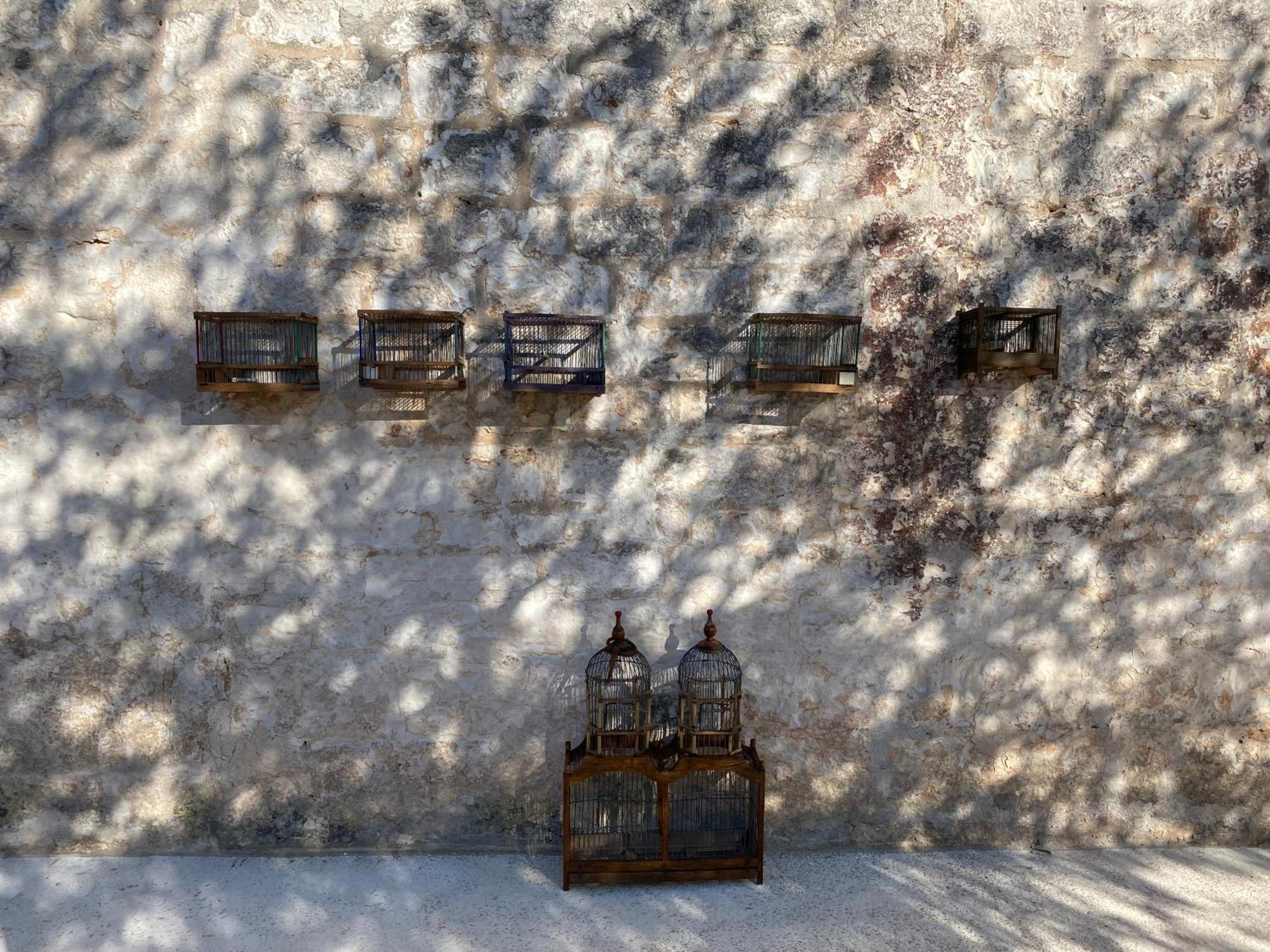 Masseria Serafino 오스투니 외부 사진