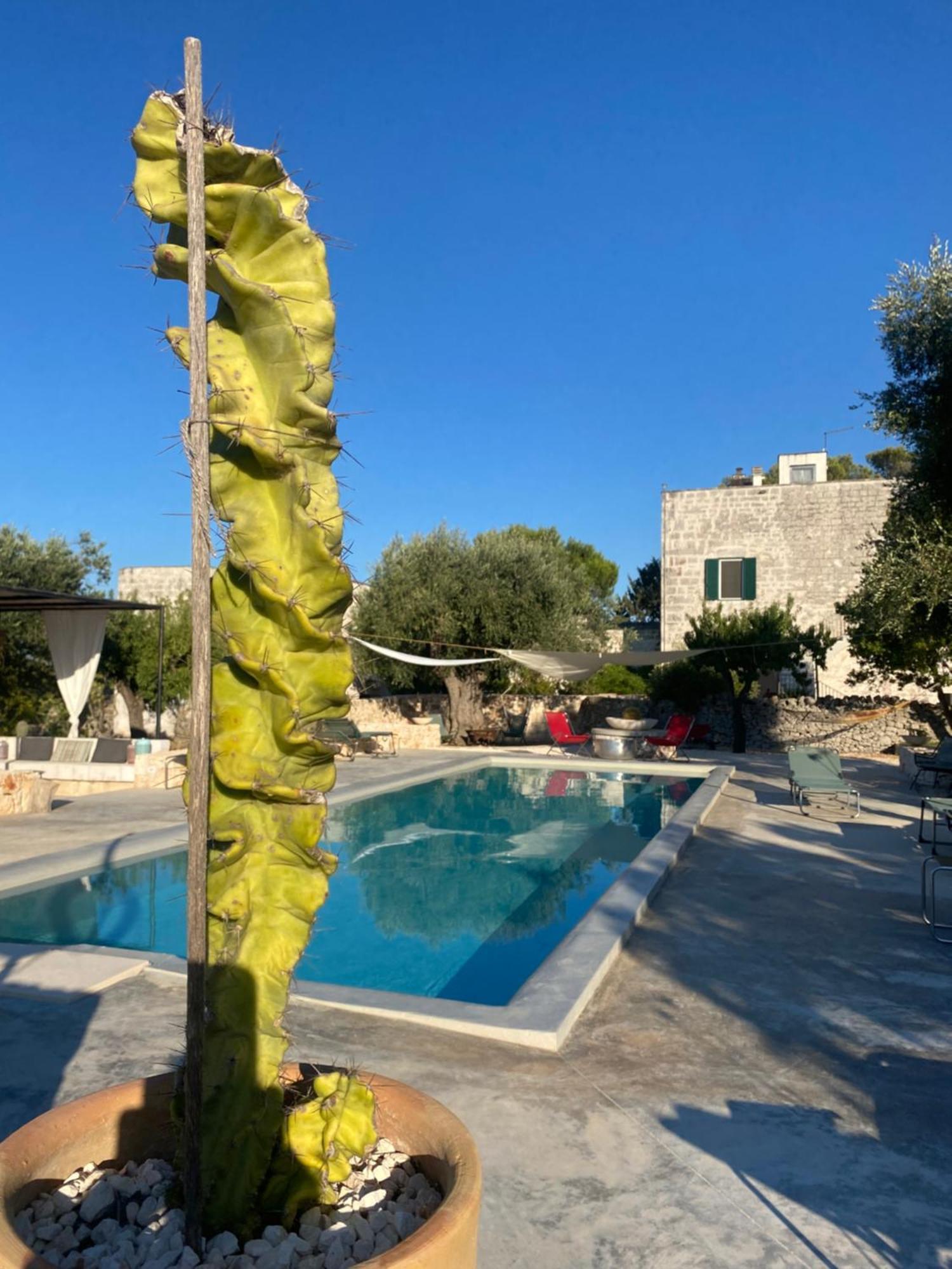Masseria Serafino 오스투니 외부 사진
